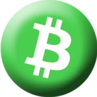 Bitcoin Cash